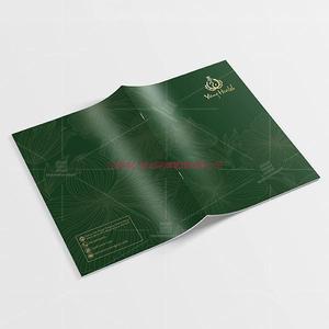 Yong Health 企业画册设计