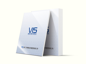 博格咨询VIS设计